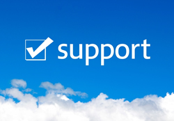 PHOENICS�̓A�t�^�[�t�H���[�����S